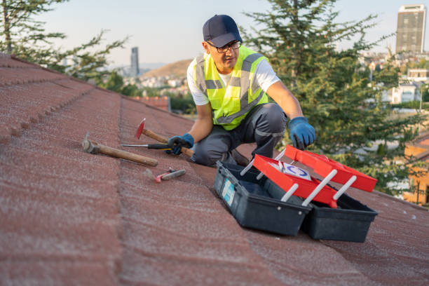 Best Siding Painting and Refinishing  in Stirling, NJ
